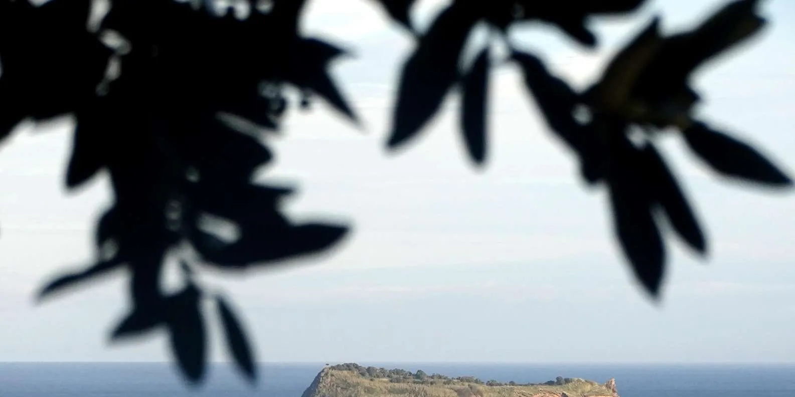 Picos de Aventura gallery: São Miguel coastal scenery