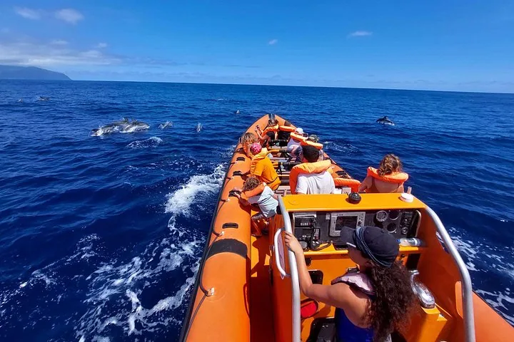 OceanEye RIB passengers on the Atlantic